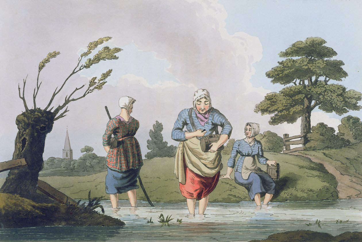 Robert Havell (1769-1832) 1814 tarafından kazınmış 