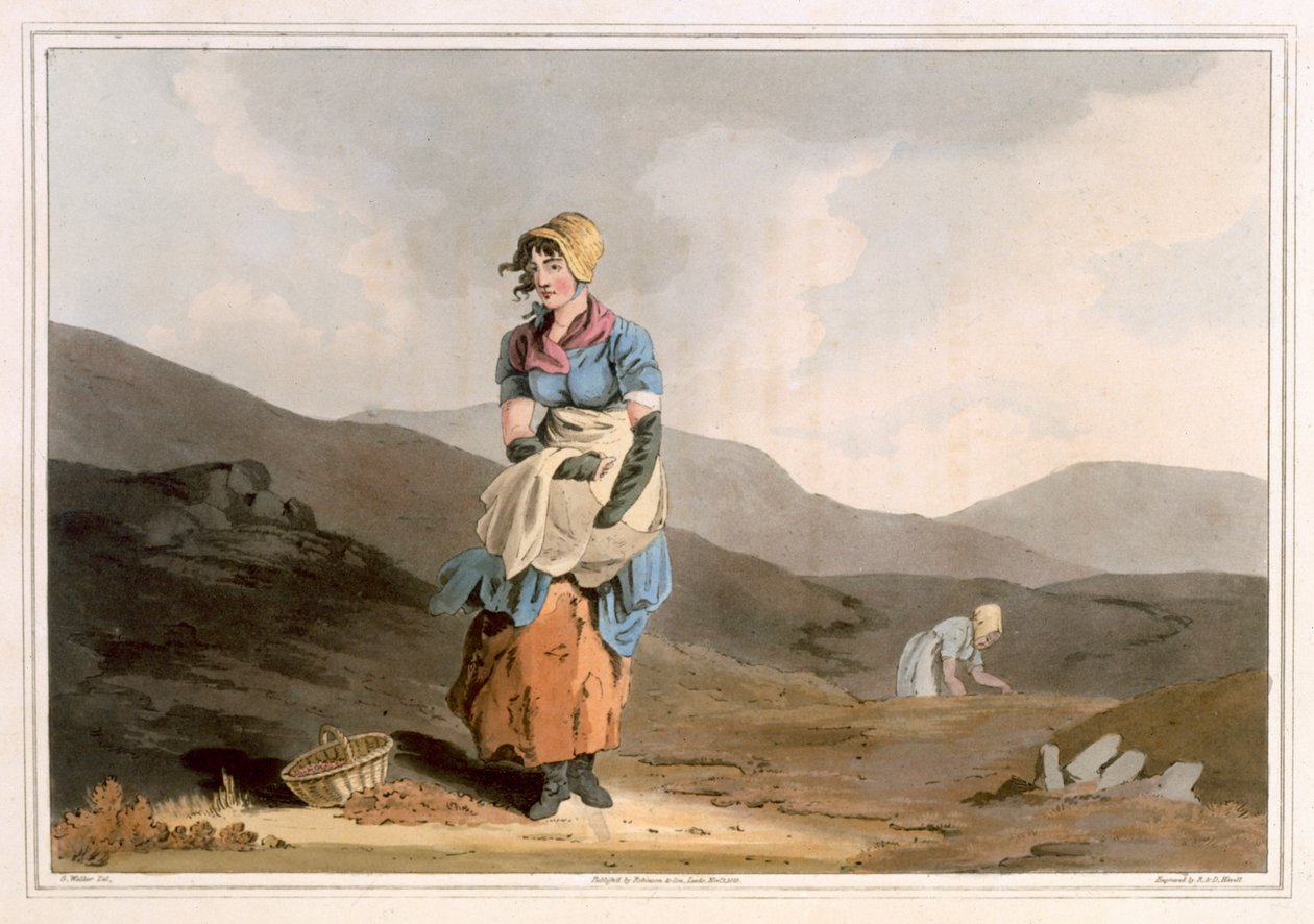 Kızılcık Kız, Robert Havell the Elder tarafından kazınmış, 1814 yılında Robinson ve Son, Leeds tarafından yayınlanmıştır. by George Walker