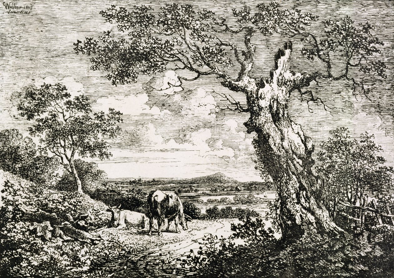 Bir tarlada iki inek by George Walker