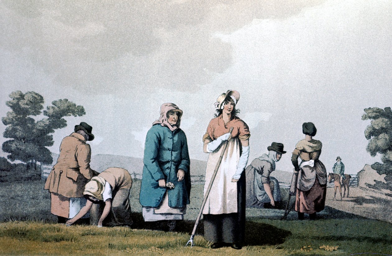 Lowkers - mısır ayıklayan kadınlar, 1814 by George Walker of Seacroft