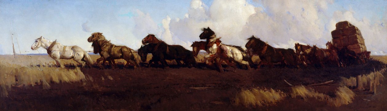 Kara toprak ovalarında by George Washington Lambert