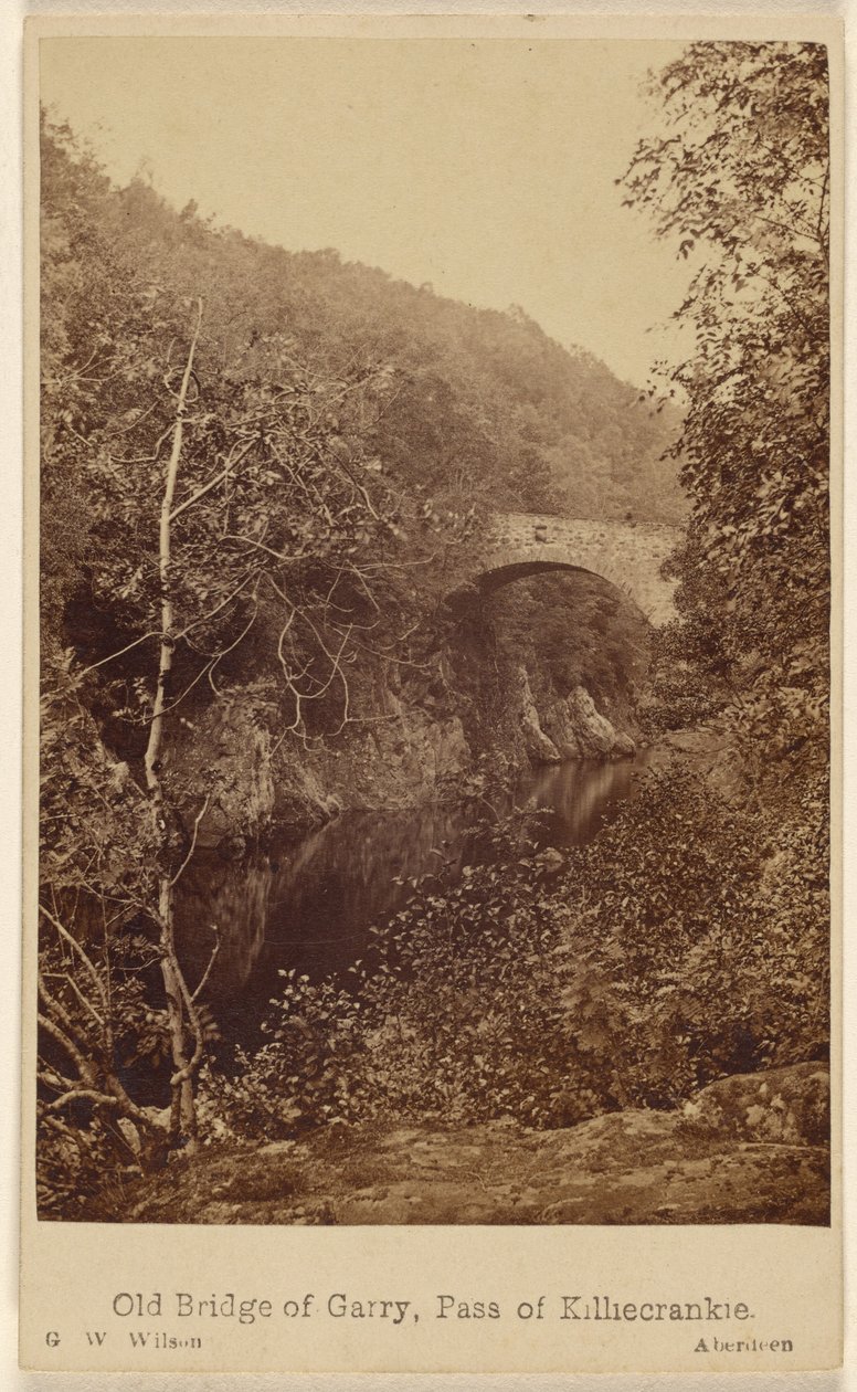 by George Washington Wilson