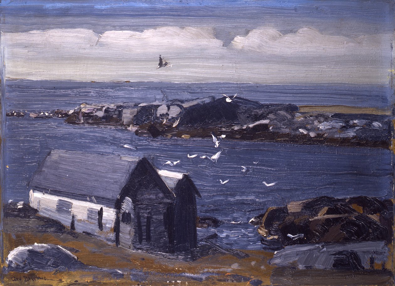 Martılar, Monhegan, c.1913 by George Wesley Bellows