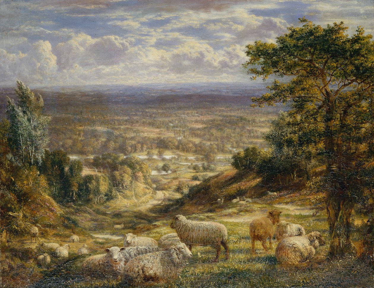 Koyunlu Bir Yaz Manzarası by George William Mote