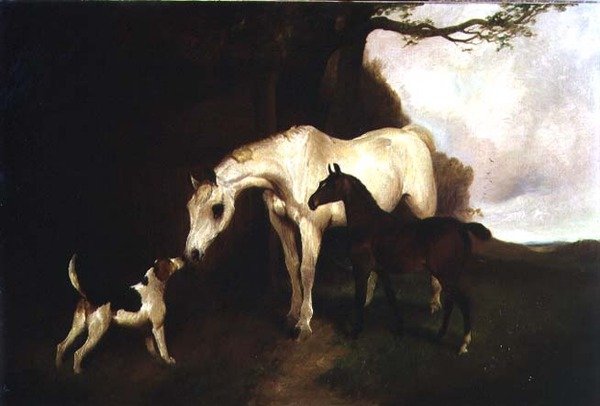 Firma Arkadaşlar by George Wright