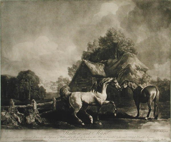 Aygır ve Kısrak, George Townley Stubbs (1756-1815) 1776 (mezzotint) tarafından oyulmuş by George after Stubbs