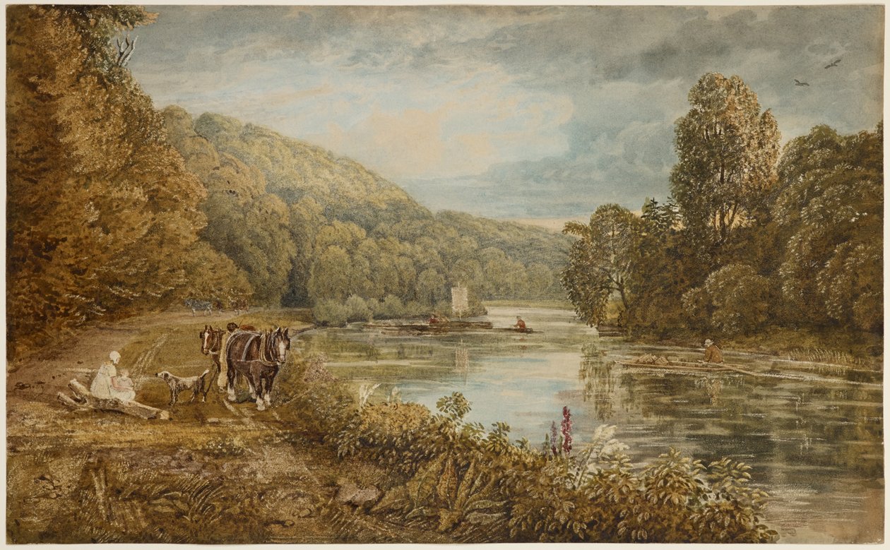 Cliveden Woods, 1812 dolayları (kağıt üzerine suluboya) by George the Younger Barret