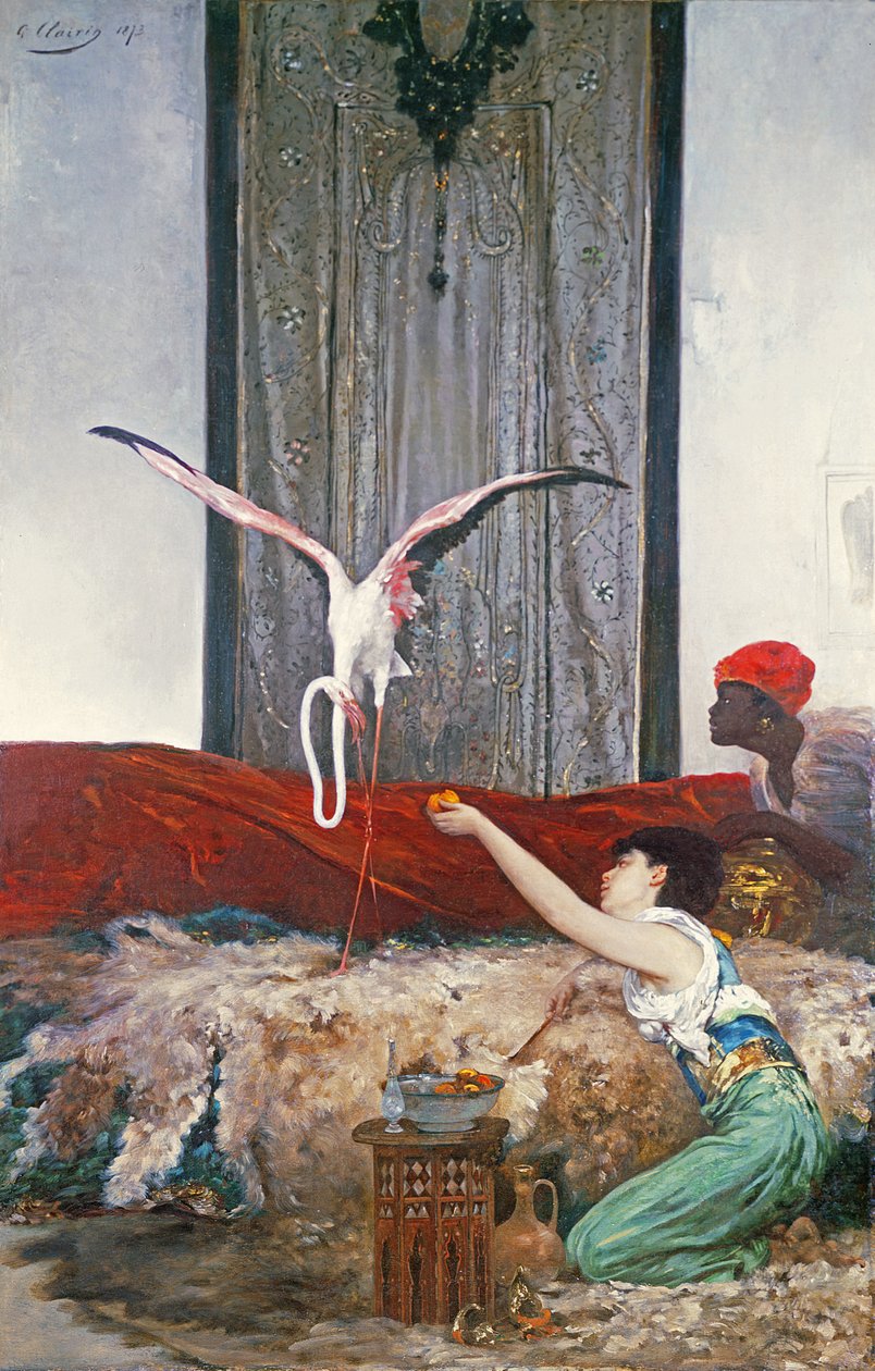 Pet Flamingo (tuval üzerine yağlı boya) by Georges Clairin