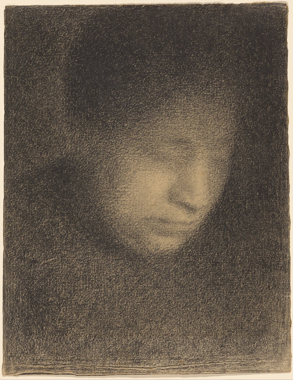 Madam Seurat, Sanatçının Annesi by Georges Seurat