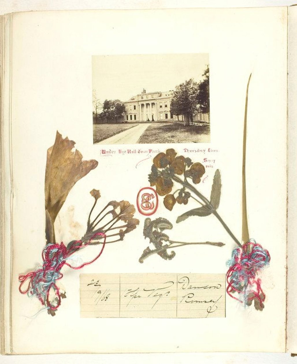 İsimsiz [kuru çiçekli Broadlands manzarası], 1868. by Georgina Cowper