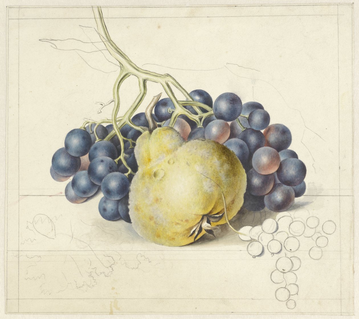 Üzüm ve armut ile natürmort by Georgius Jacobus Johannes van Os