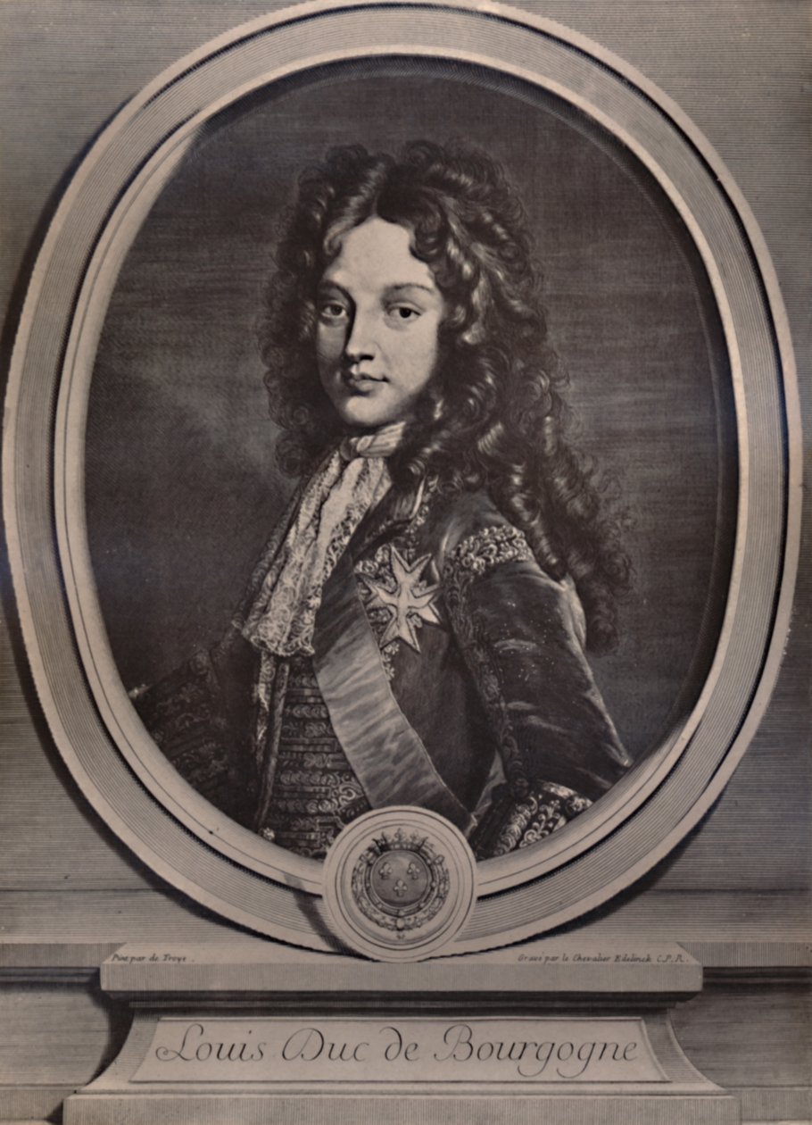 Louis, Burgonya Dükü, Fransa Dauphin ve Kral Louis XV