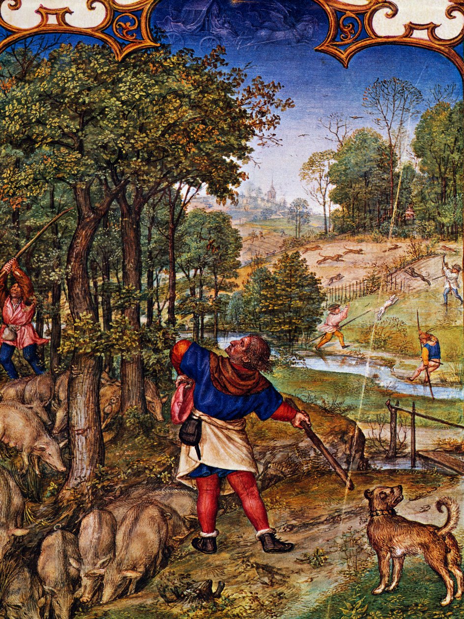 Kasım ayı, Meşe palamudu toplama ve tavşan avı, Grimani Breviary