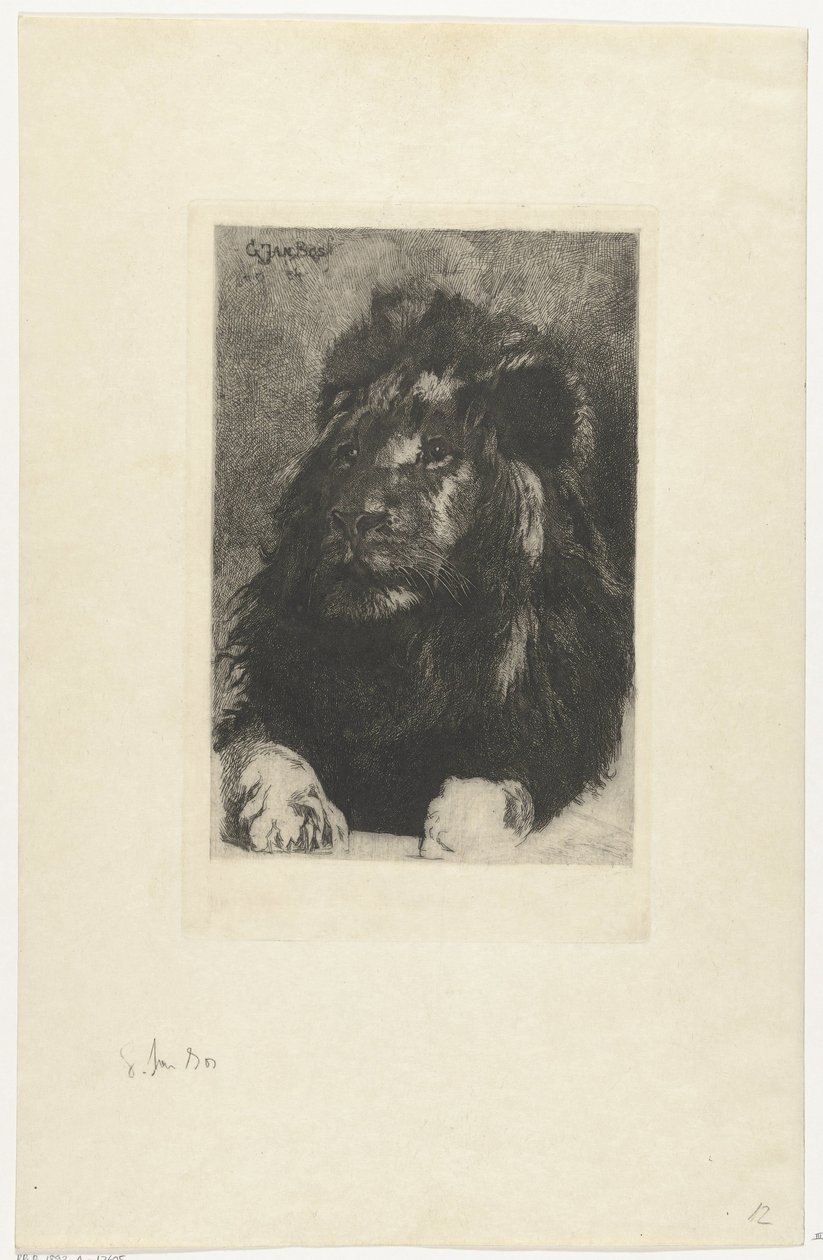 Aslan başı by Gerard Jan Bos
