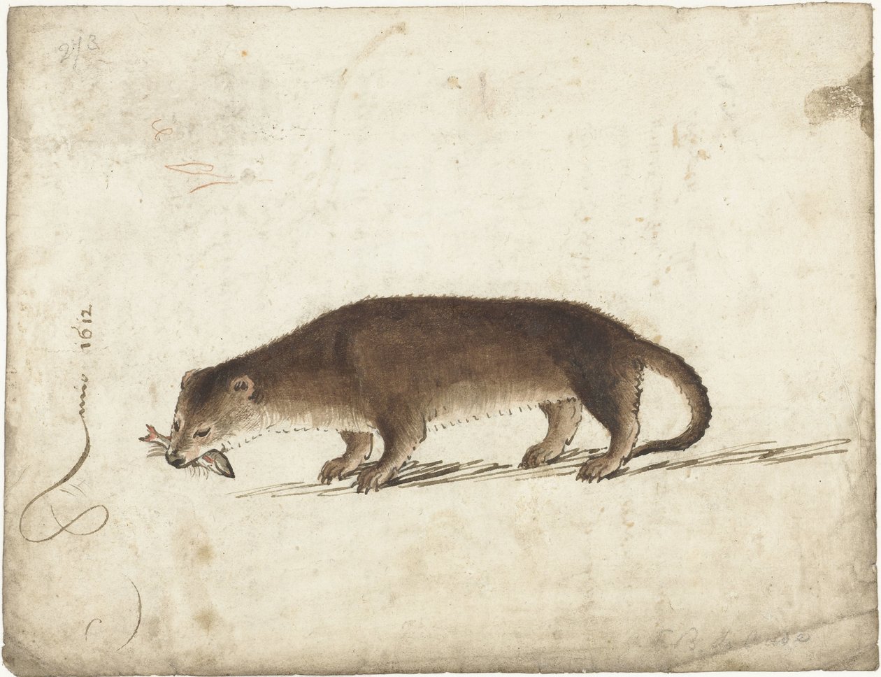 Ağzında balık olan su samuru by Gerard ter Borch (I)