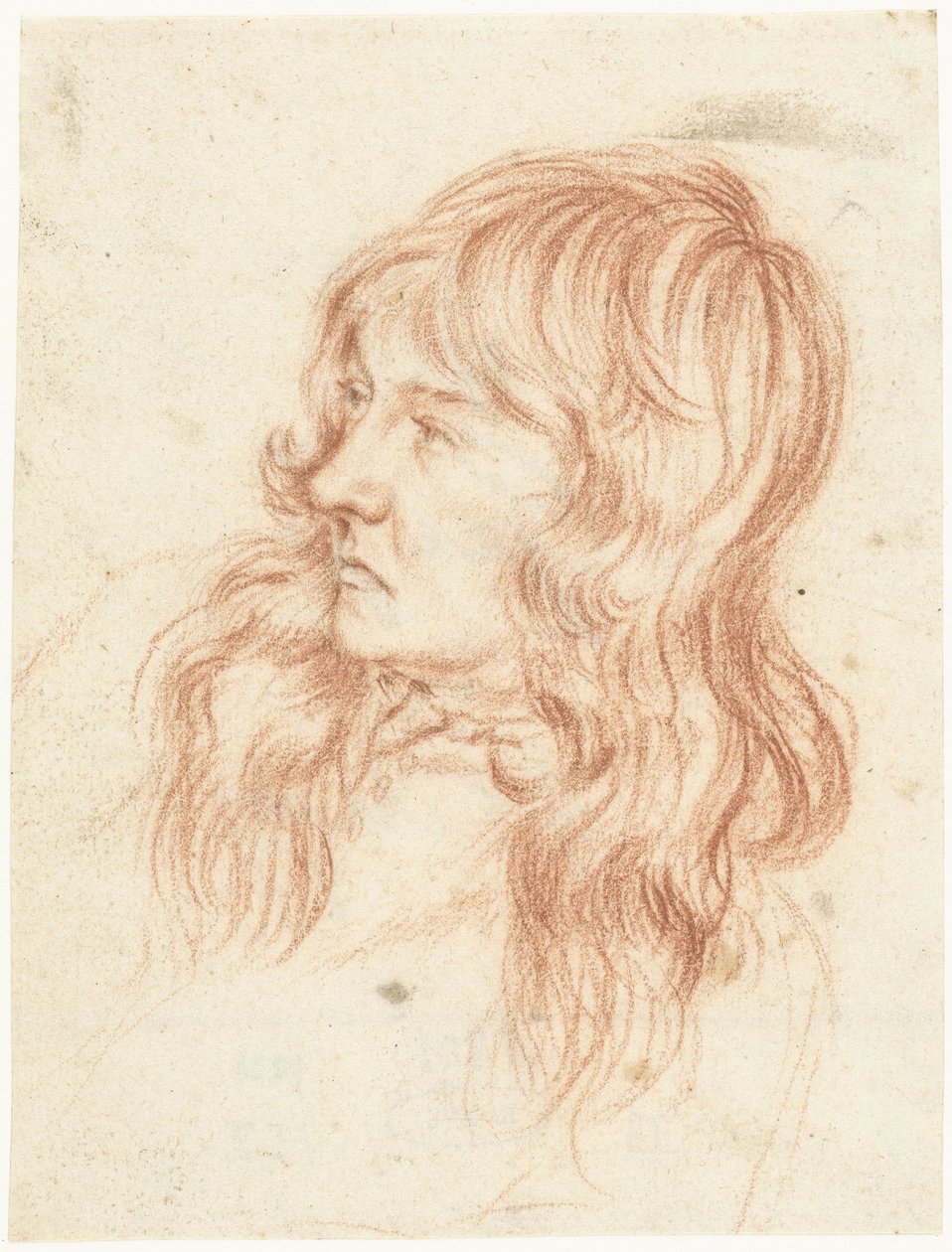 Genç bir adamın başı, solda by Gerard ter Borch (II)