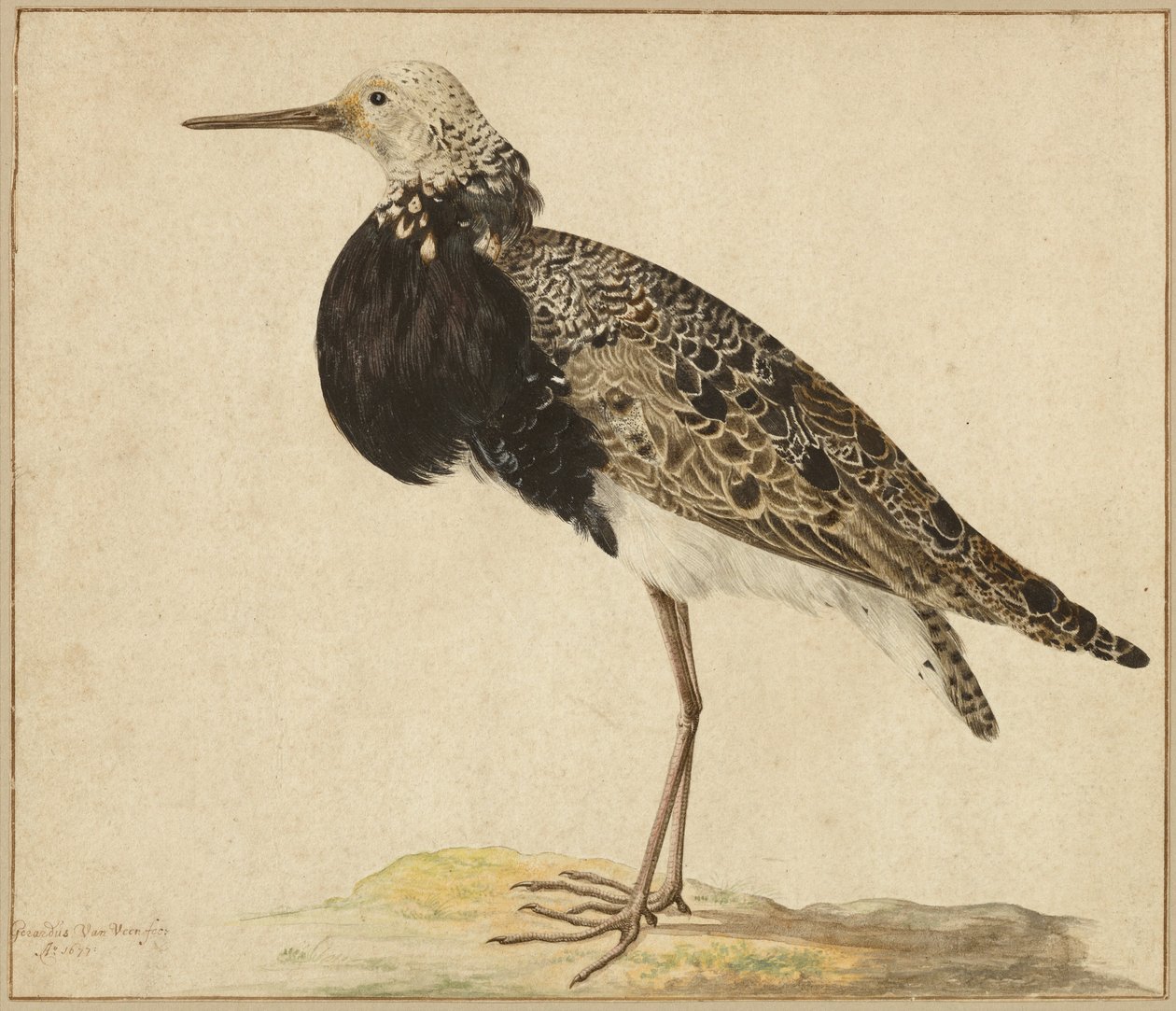  by Gerardus van Veen