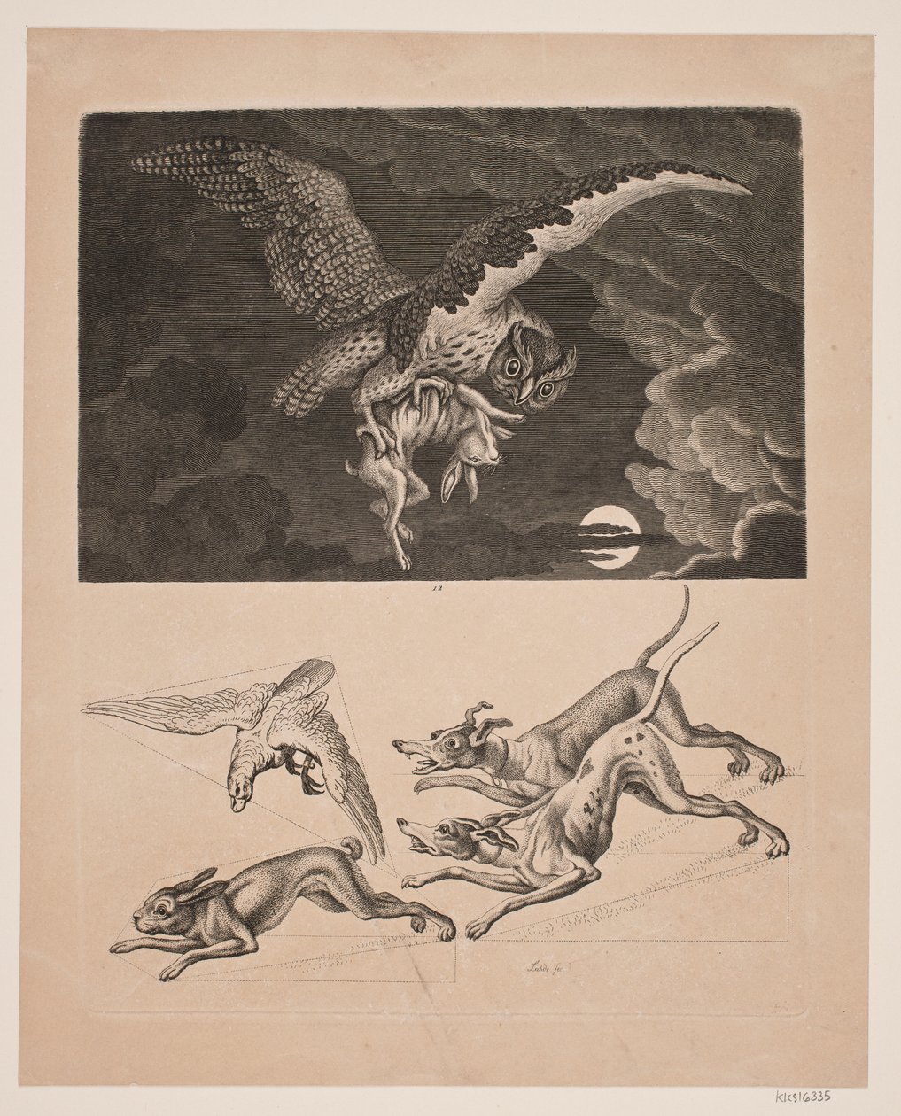 Altında tavşanla uçan baykuşlu plaka; köpekler, tavşanlar ve peregrine şahinleri by Gerhard Ludvig Lahde