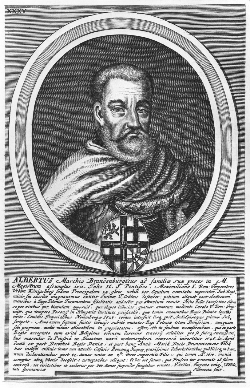 Brandenburglu Albert (ksilograf) by German School