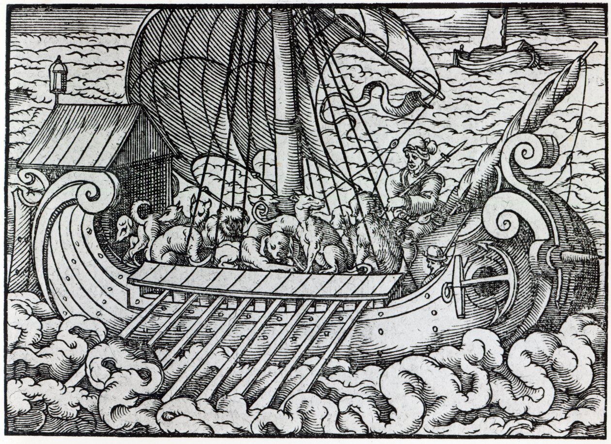 Viking Gemisi by German School