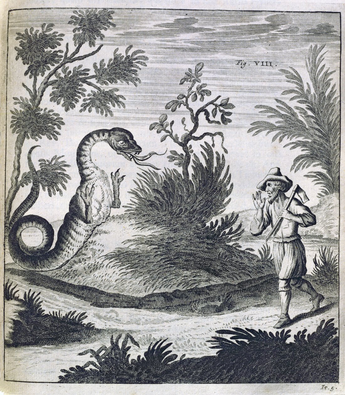 Korkunç Bir Ejderha, c.1660 by German School