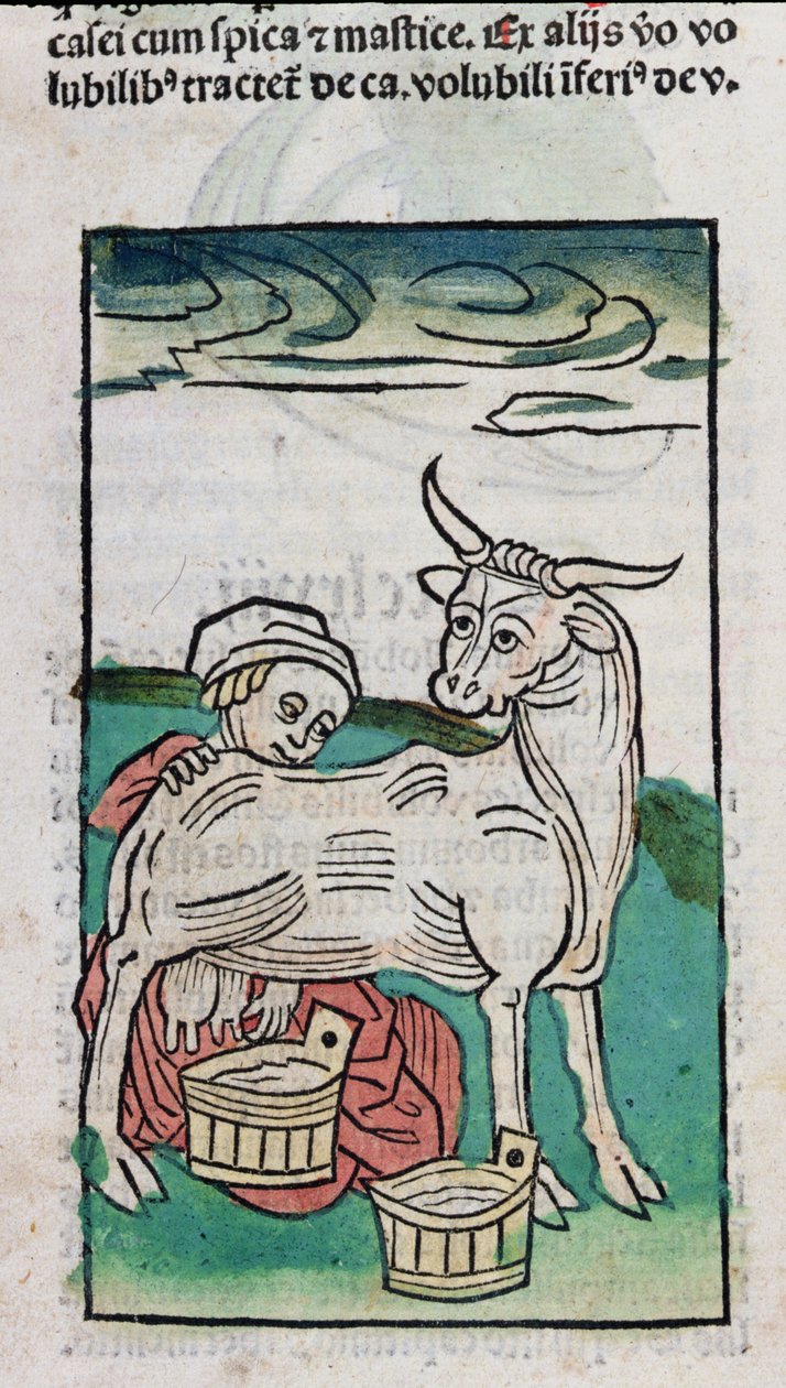 İnek Sağan Hizmetçi, 1491 (renkli gravür) by German School