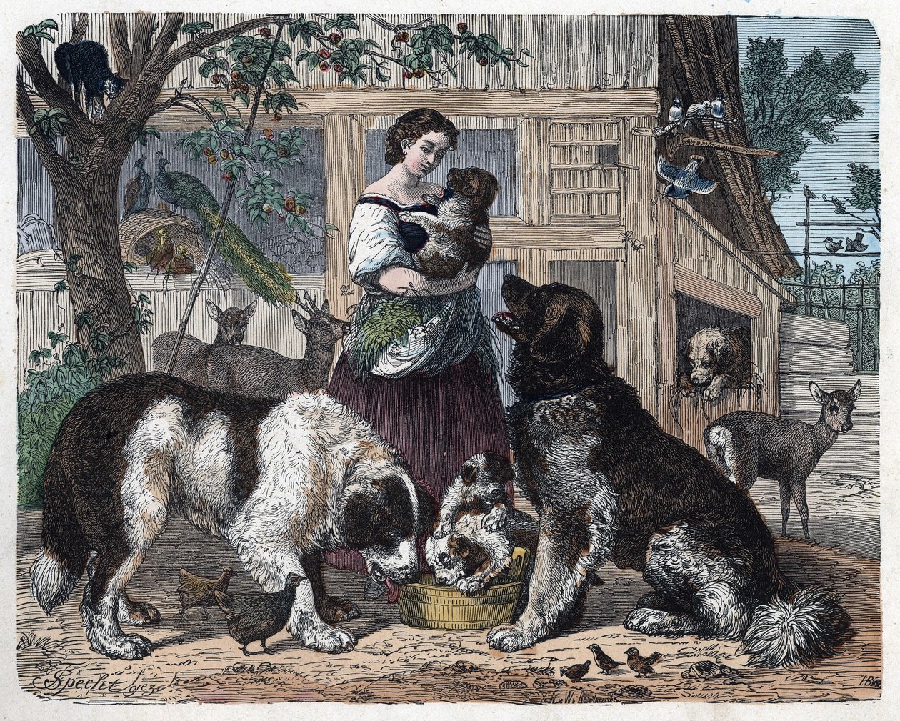 Bir çiftçi ve köpekleri arasındaki sevgi. Franz Wiedemann