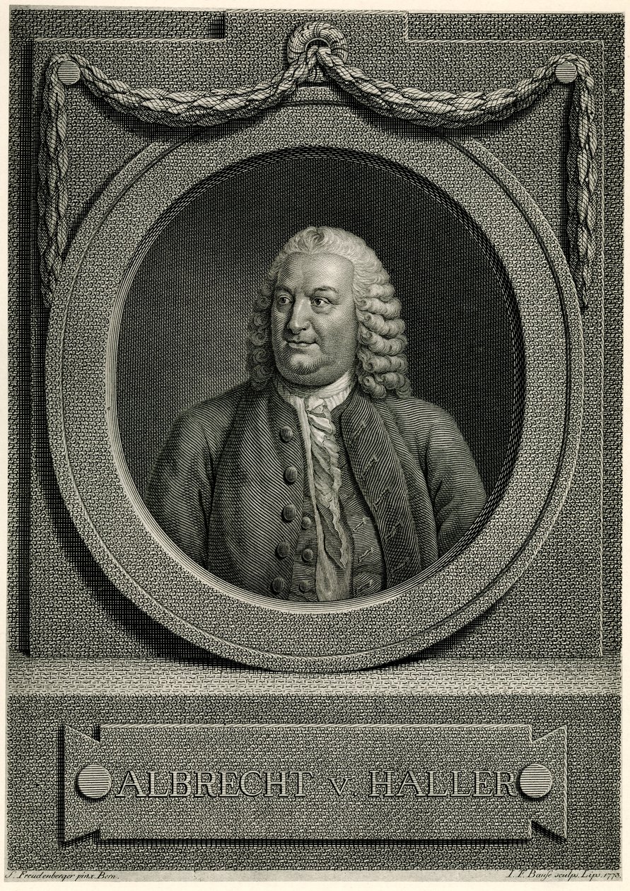 Albert von Haller by German School