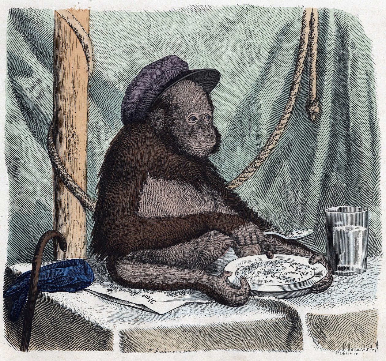 Eğitimli bir orangutan (orang-utan, orang outang, orangutan) bir kaşıkla pilav yer. “” Wenn Jemand eine Reise thut, so kann er was erzahlen””de (Birisi seyahat ettiğinde, söyleyebileceği şey budur), Franz Wiedemann