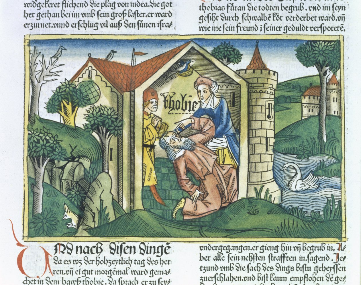 Apocrypha: Tobit, Nürnberg İncil