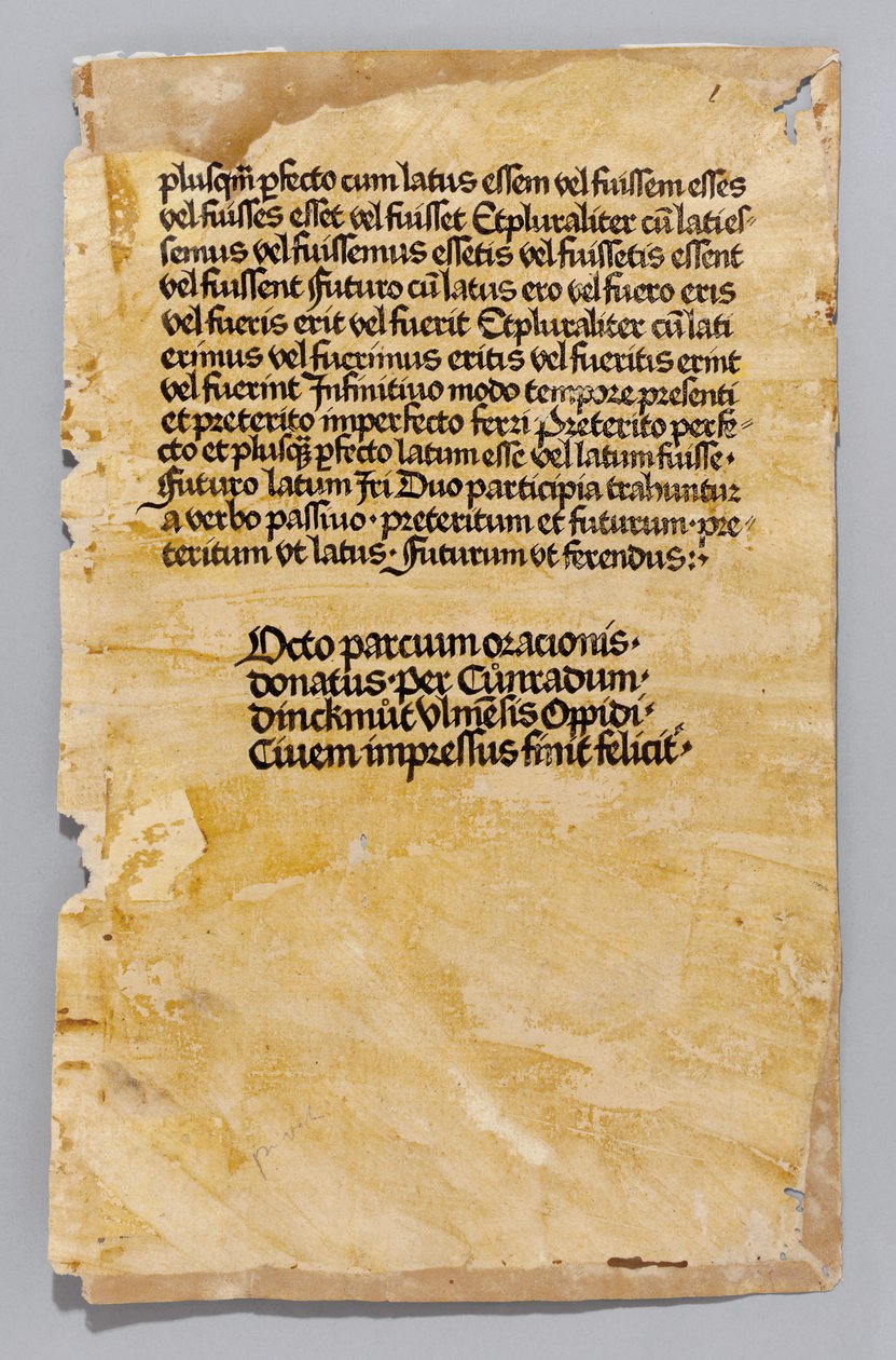 Ars Minor, Aelius Donatus tarafından basıldı, Konrad Dinckmut tarafından basıldı, Ulm, c.1476-80 (blok kitabı) by German School