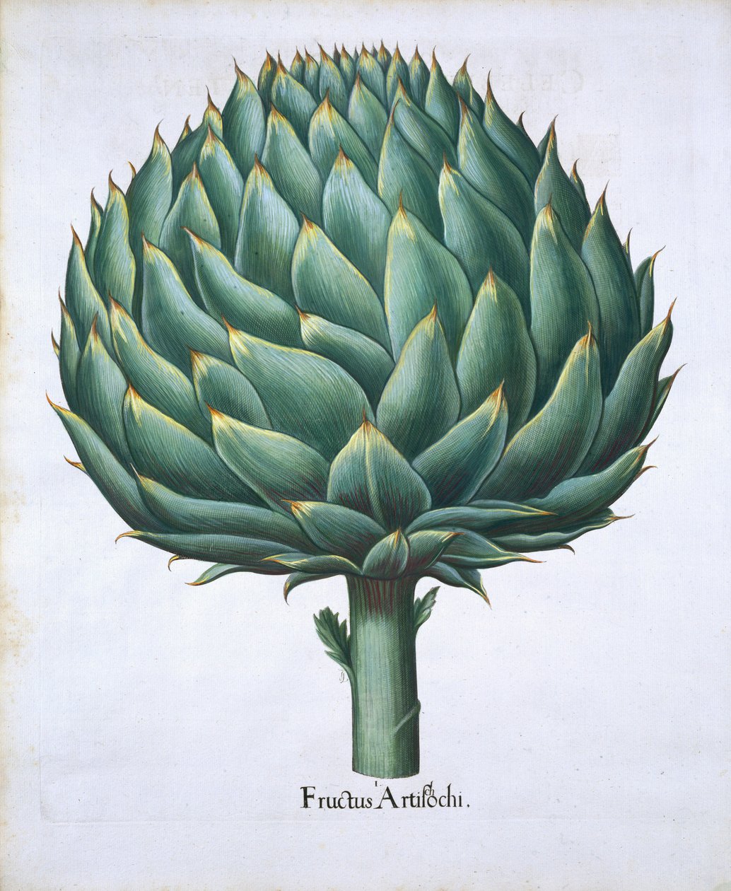 Hortus Eystettensis