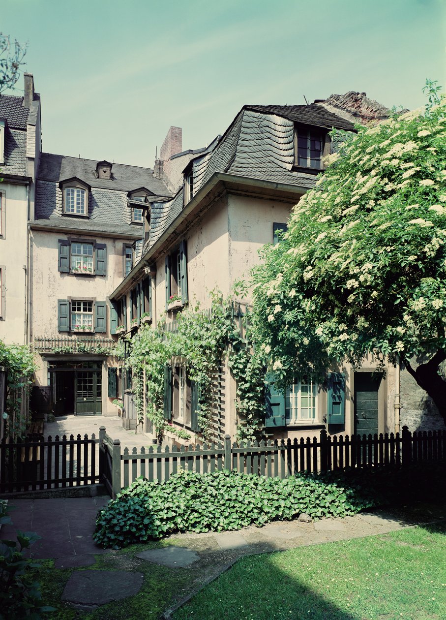 Bonngasse 20, Bonn