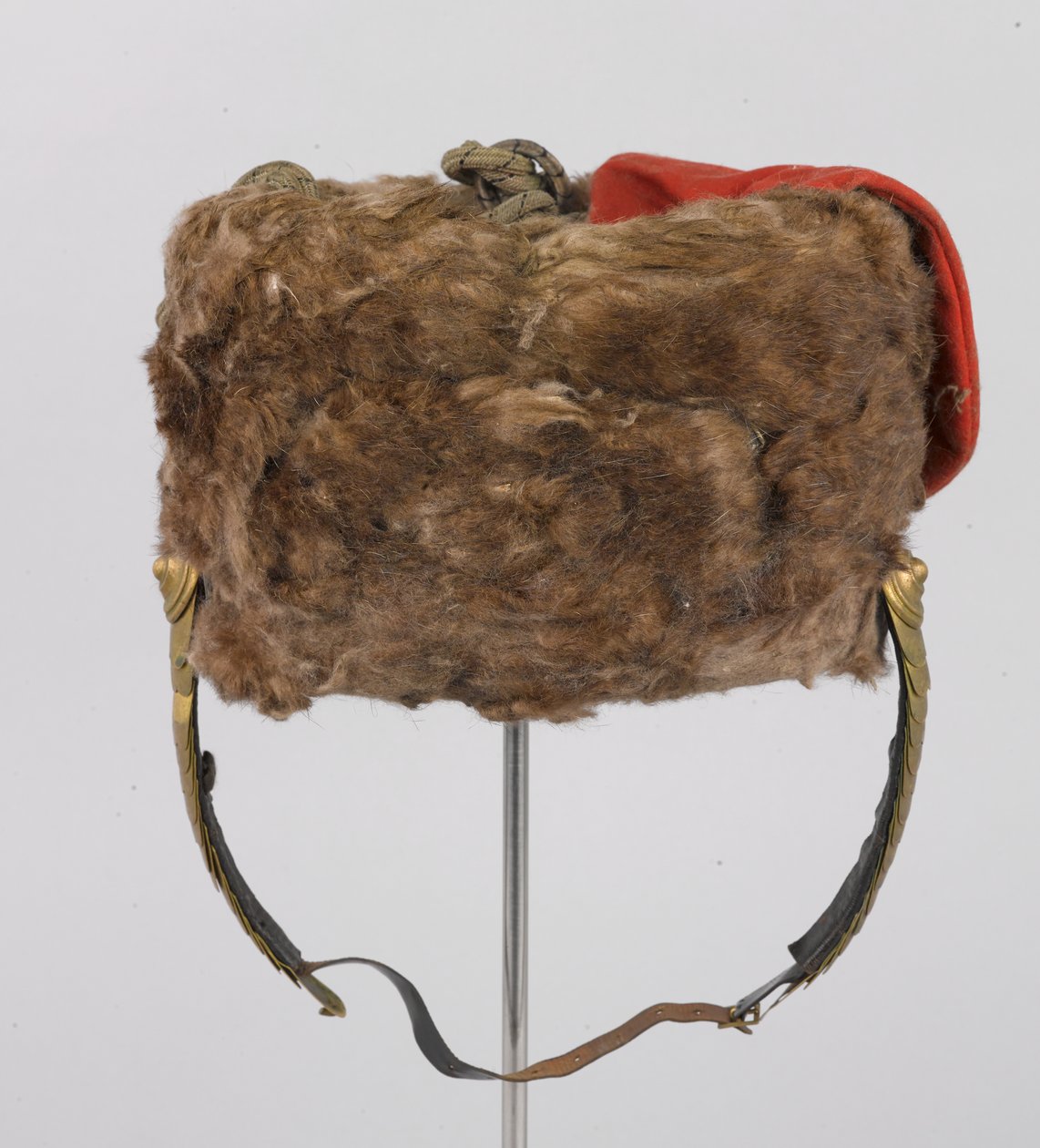 Busby, SAİK Connaught Dükü, 3. Zieten Hussars, Alman Ordusu, 1914 öncesi (busby) by German School