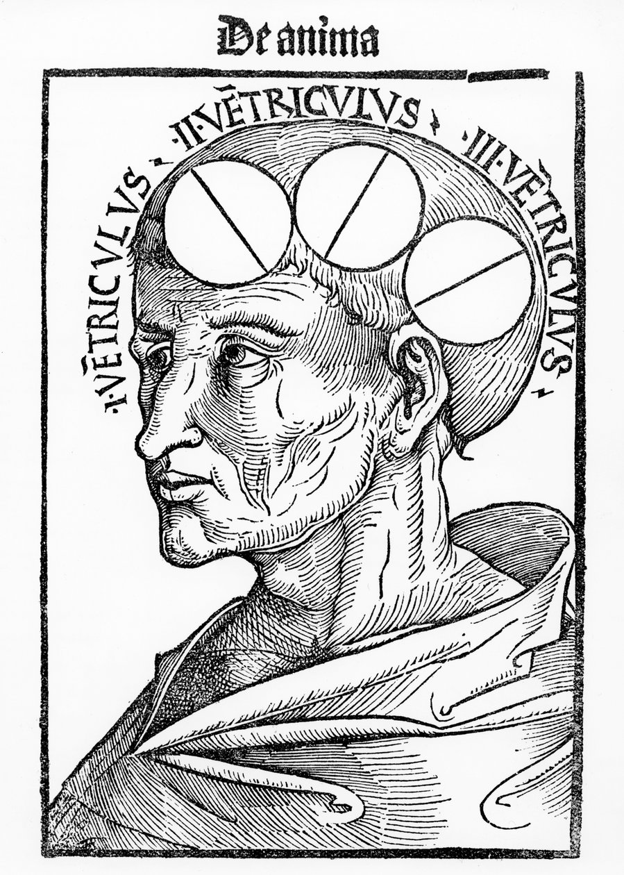 Albertus Magnus tarafından yazılan Philosophia Naturalis