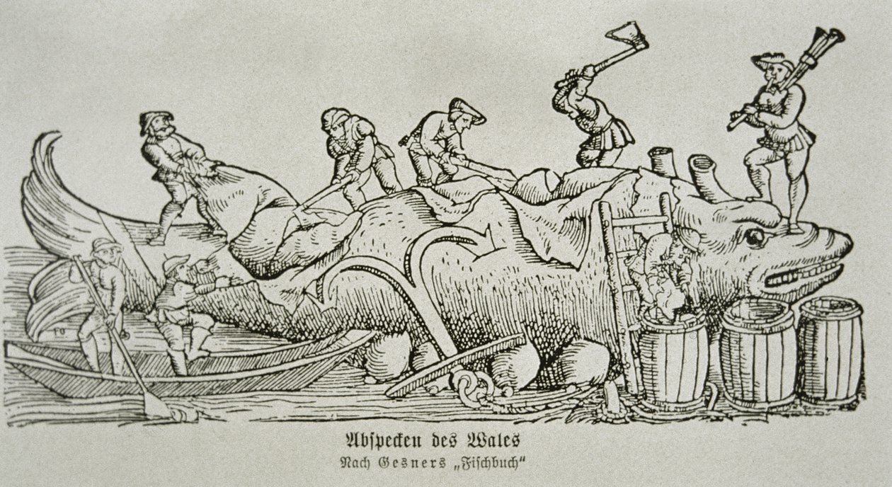 Balina Kesmek (tahta baskı) by German School