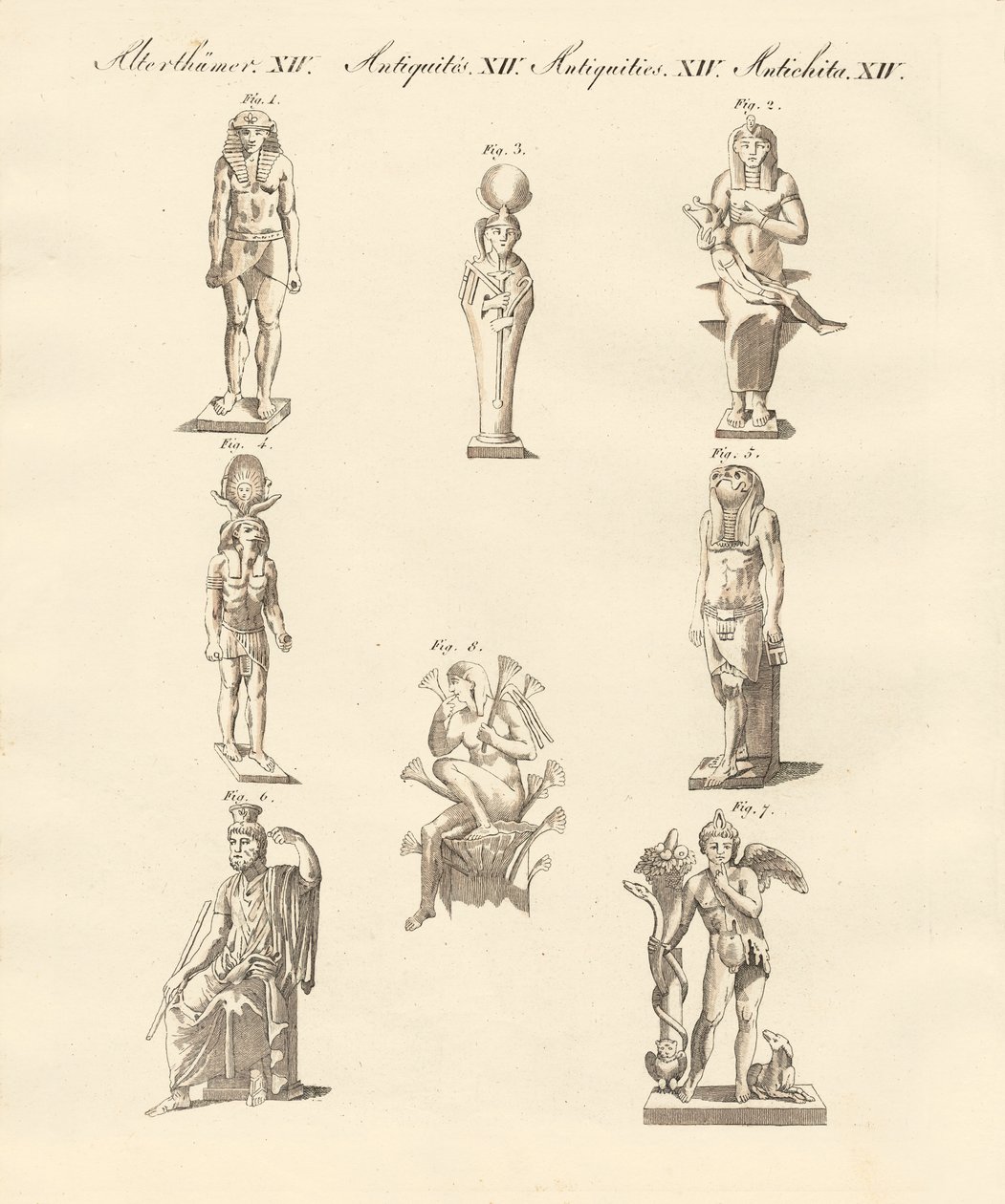 Mısırlıların tanrıları (renkli gravür) by German School