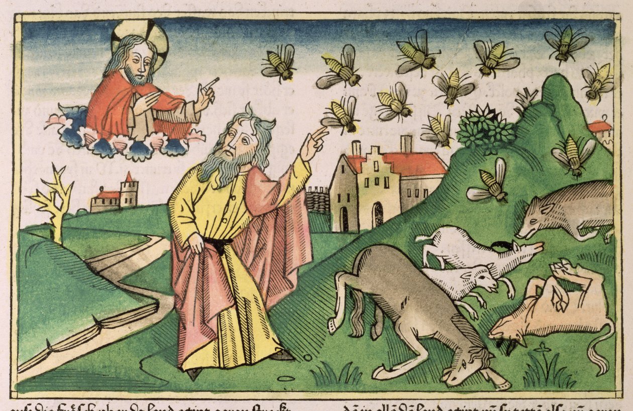 Çıkış 8 20-32 Mısır'ın Yedi Vebası: Musa ve sinek sürüsü, 'Nürnberg İncil'inden (Biblia Sacra Germanaica)' (renkli gravür) by German School