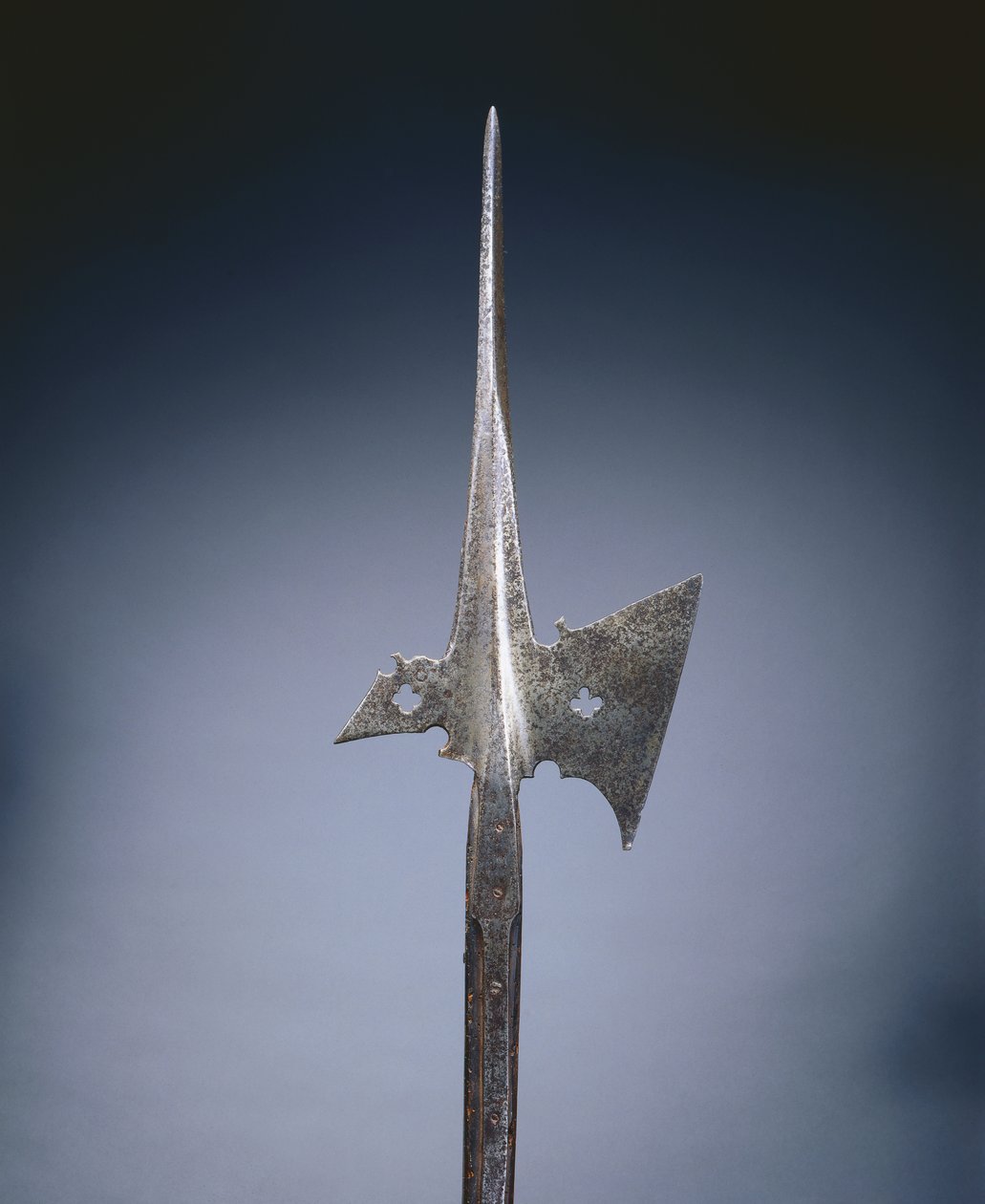 Teber, c.1500-25 by German School