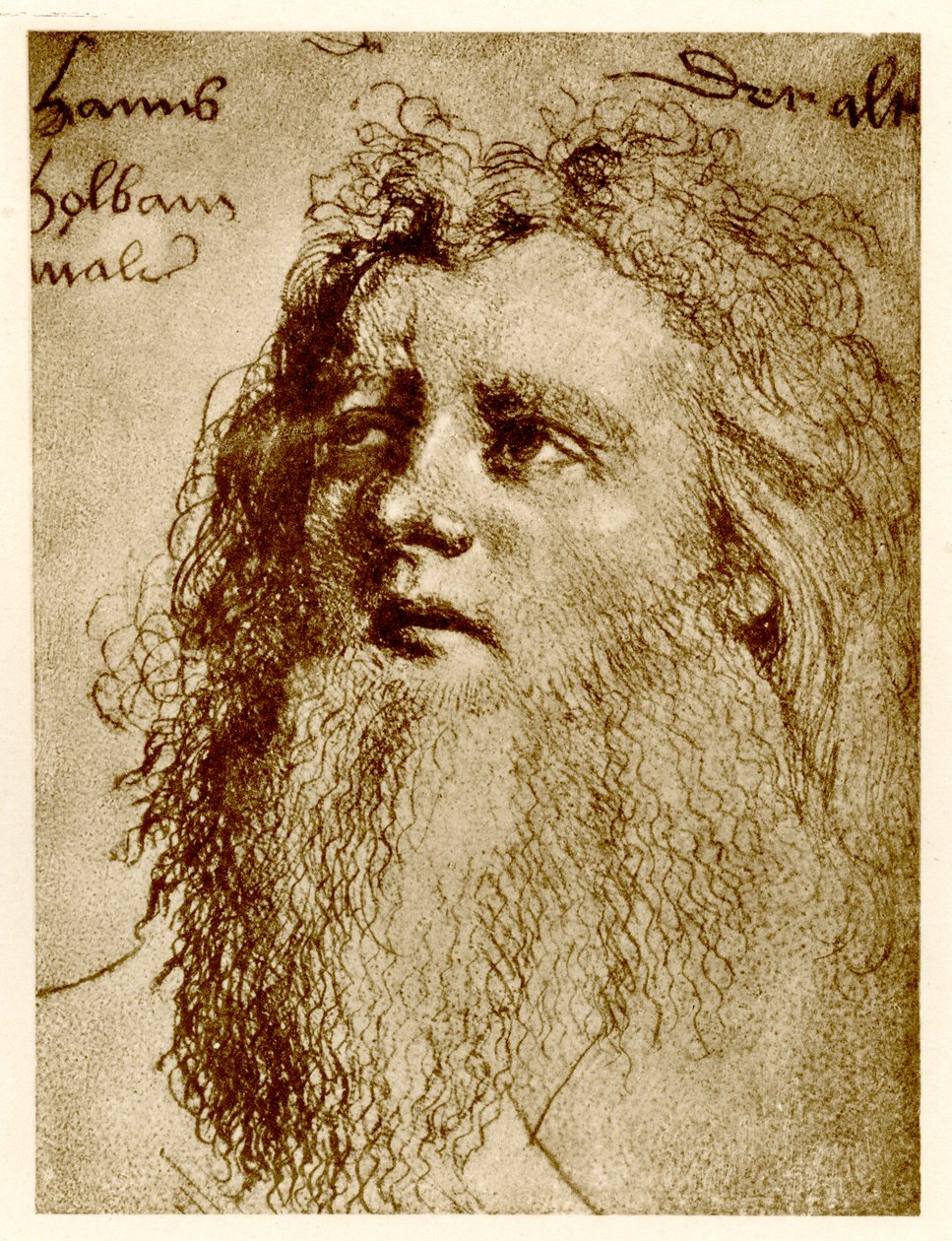 Yaşlı Hans Holbein, 1884-90 (fototip) by German School