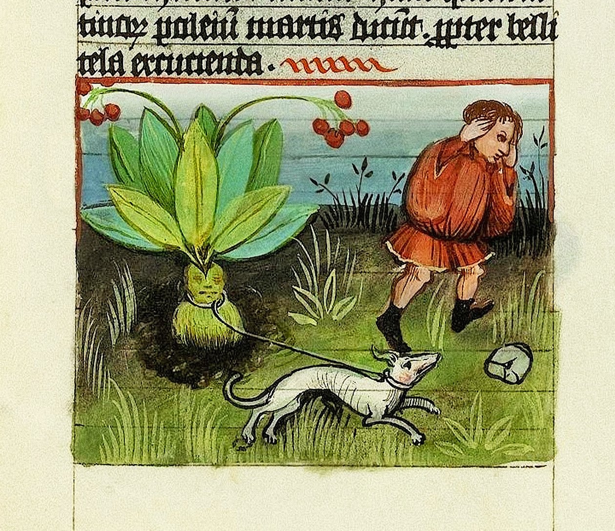 Mandrake Hasat, Şeylerin Doğası - Rabanus Maurus, c.1425 (Parşömen üzerine guaj) by German School