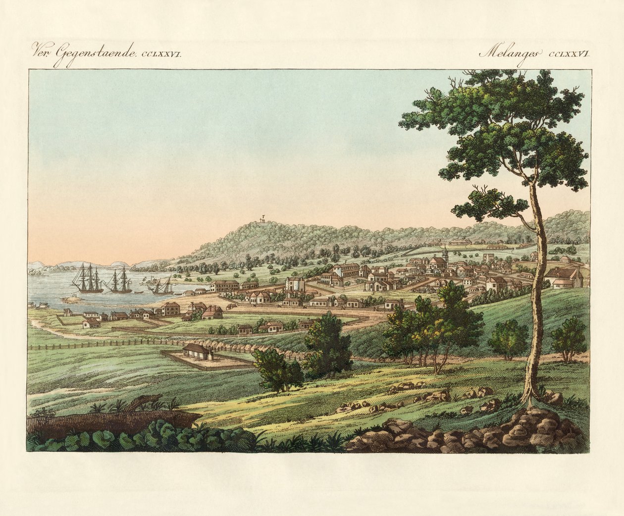 Van Diemens Land