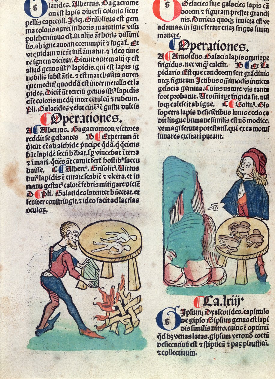 Hortus Sanitatis
