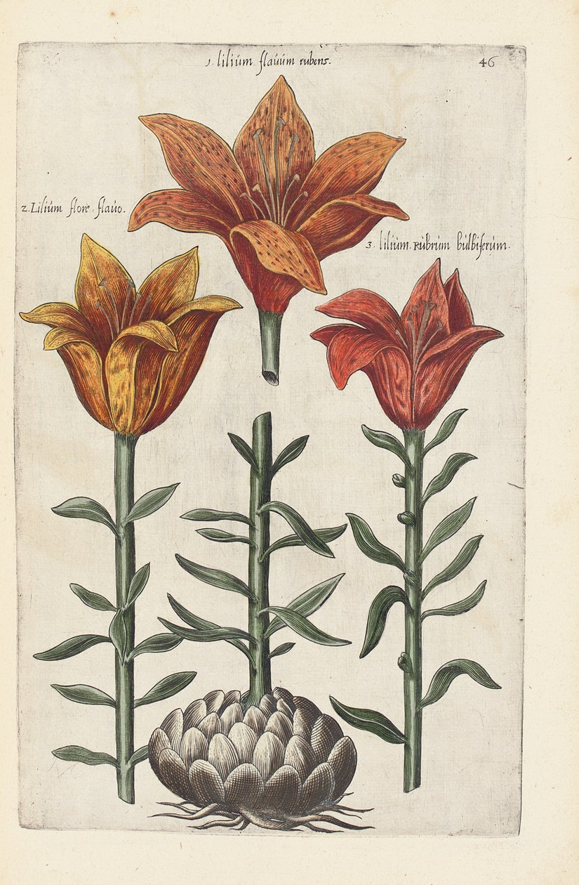 "Florilegium