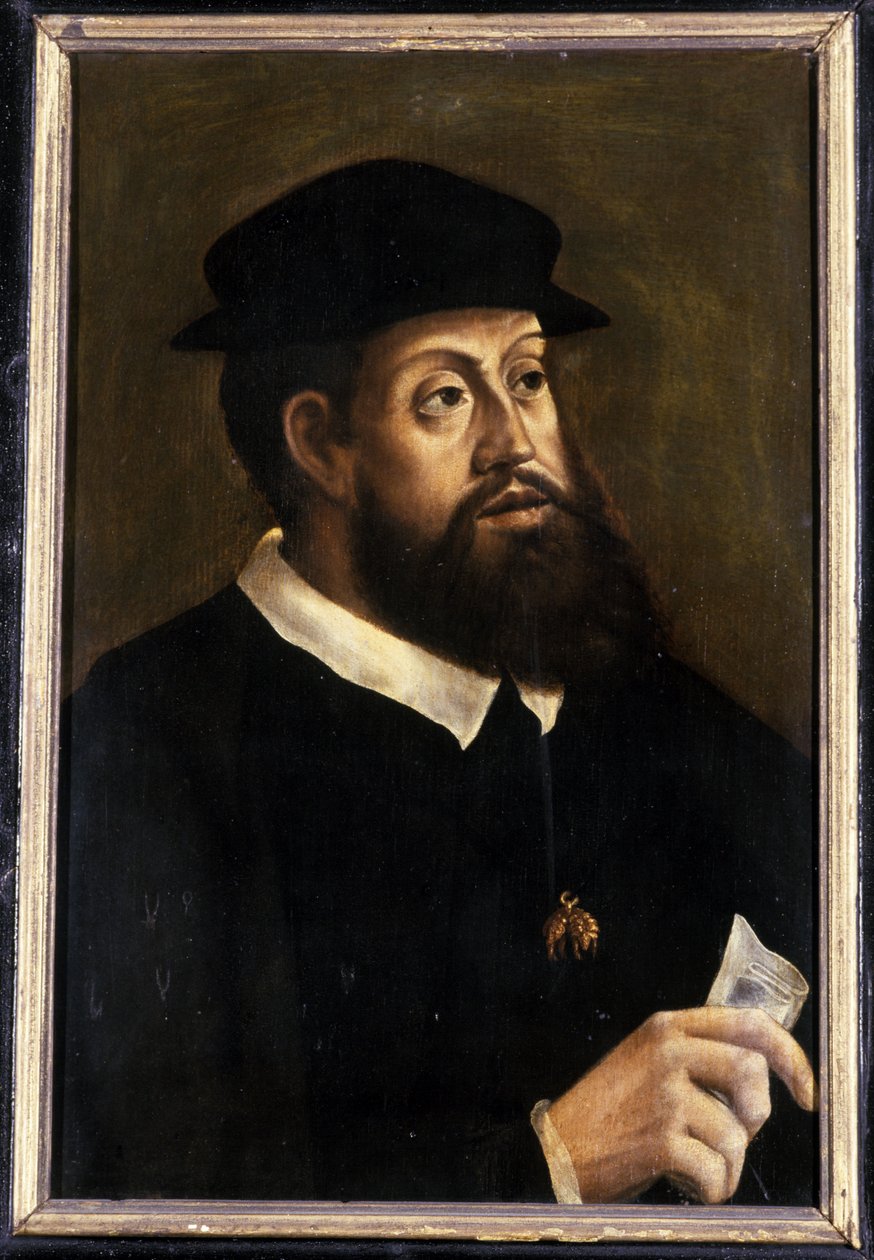 Kral Charles V, 1501-1600 by German School
