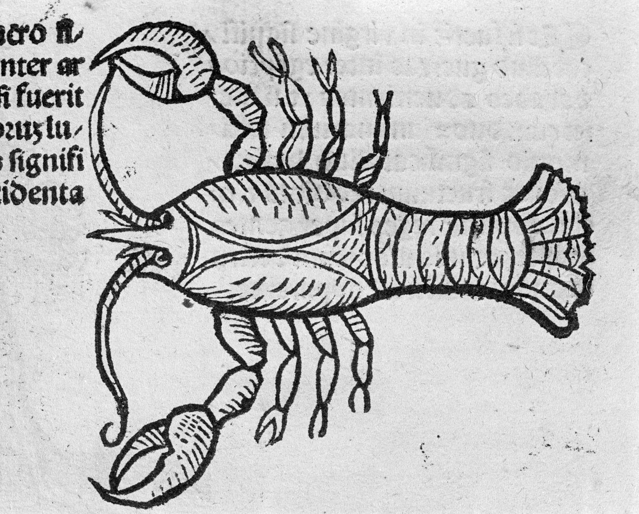 Le Cancer - John Angel