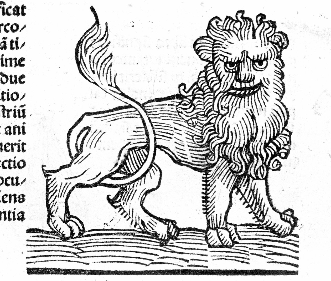 Le Lion - Johannes Angelo