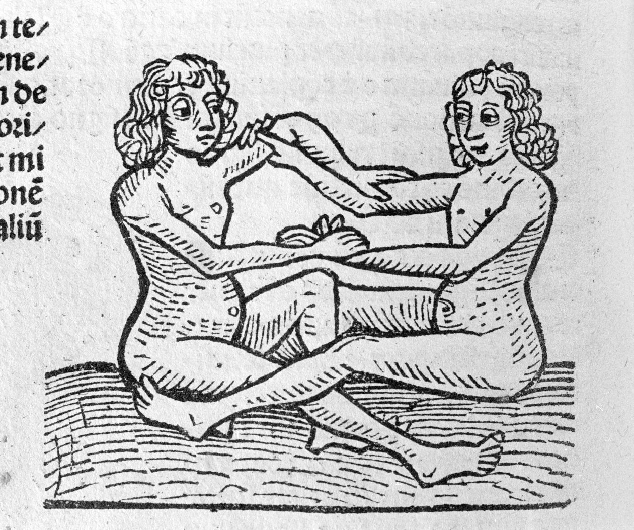 Les Gemini - Traité de Johannes Angelo'da Yılların Büyük Bağlantıları ve Devrimleri Üzerine. Augsburg, Erhard Ratdolt by German School