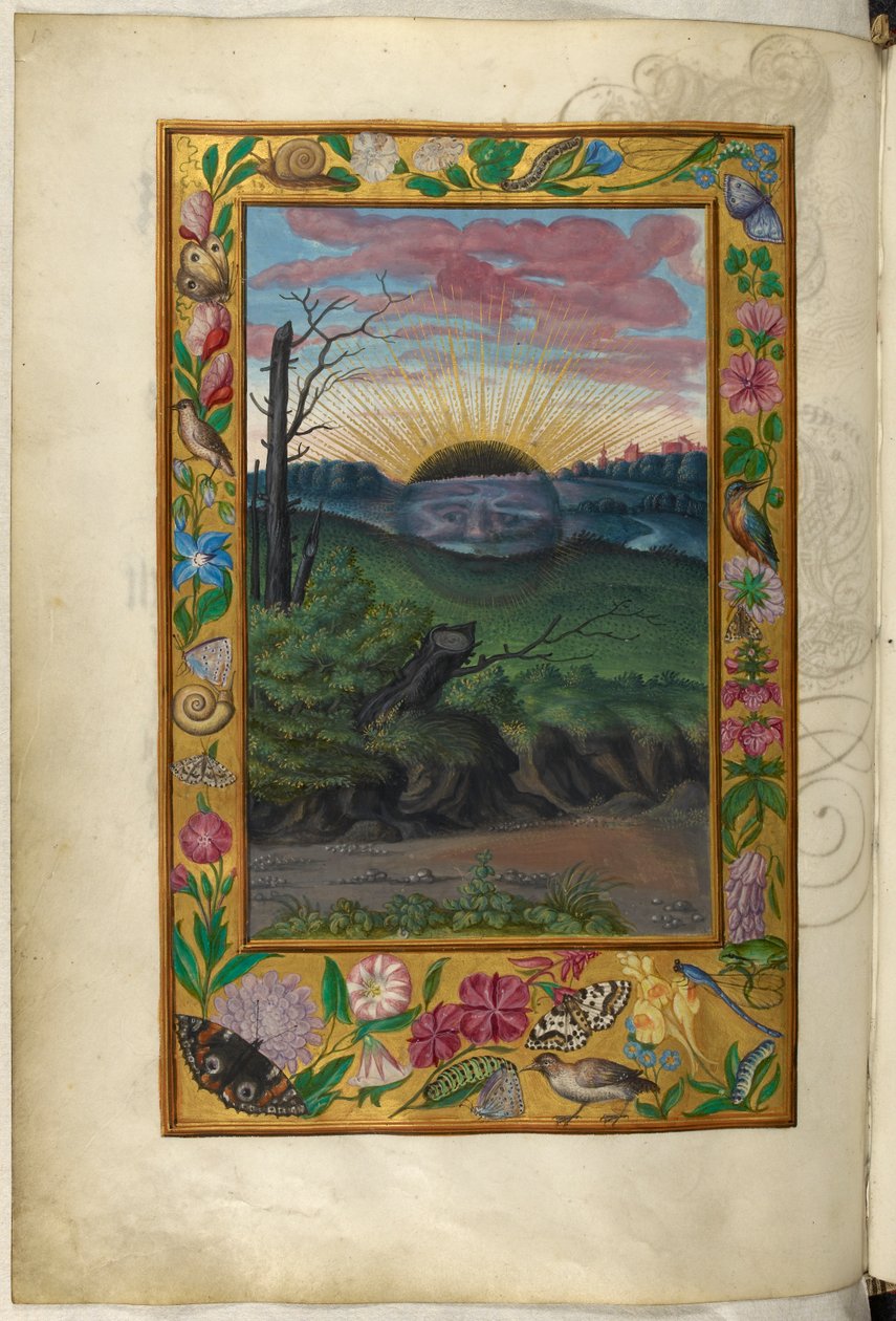 Ms Harley 3469, f.30v Karanlık Güneş, Beşinci İnceleme, Salomon Trismosin