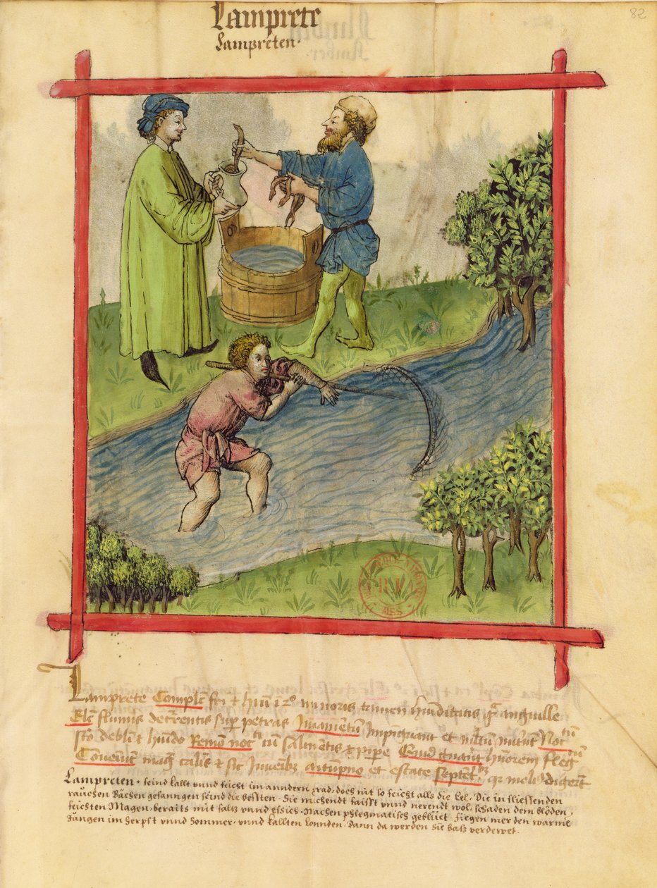 Ms Lat 9333 f.82 Tacuinum Sanitatis